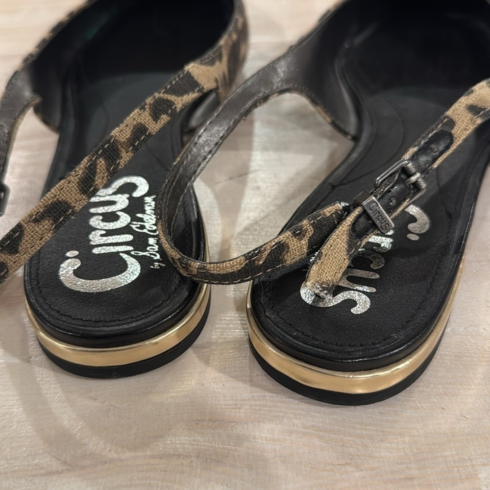 Circus Sam Edel slingbacks - Picture 3 of 8